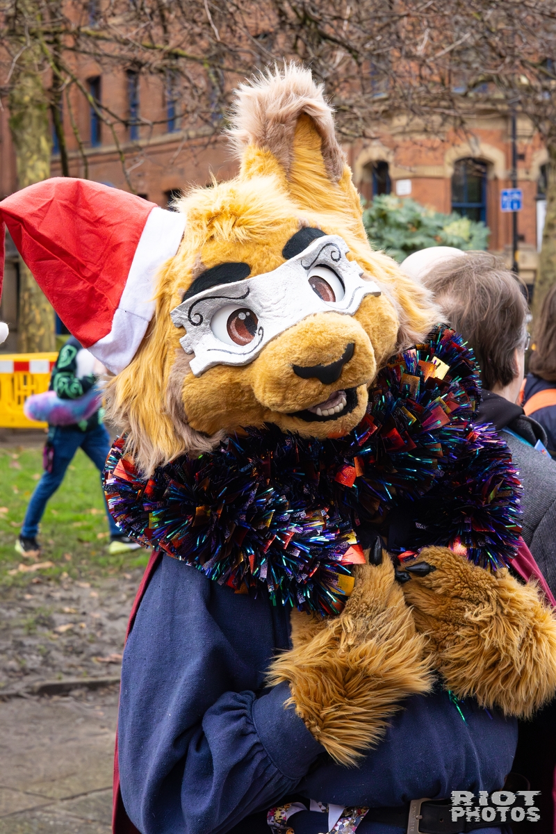 2025-12-13 MancFurs-202512-065.jpg