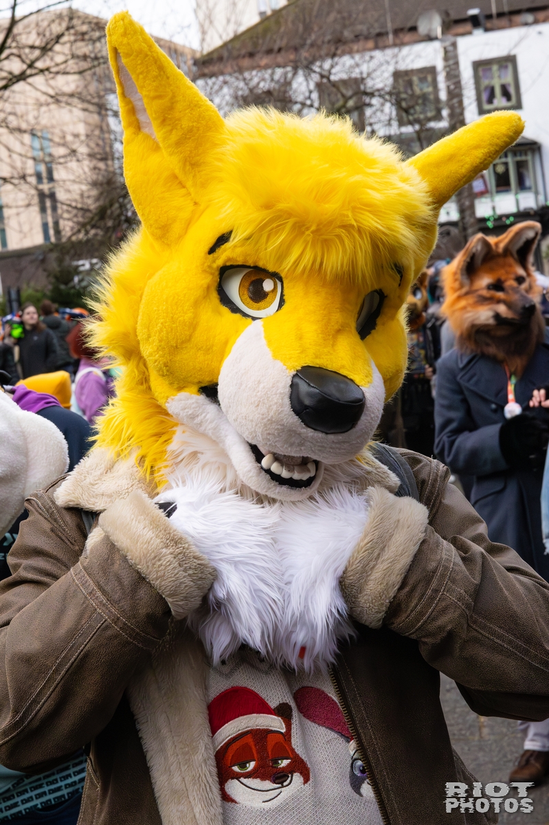 2025-12-13 MancFurs-202512-067.jpg
