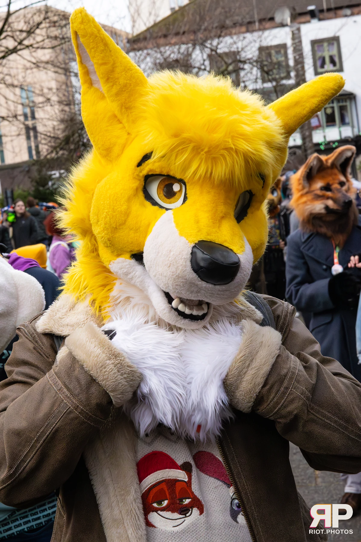 MancFurs - December, 2025 — 13 Dec 2025, Fluffy Riot photography — photo 67