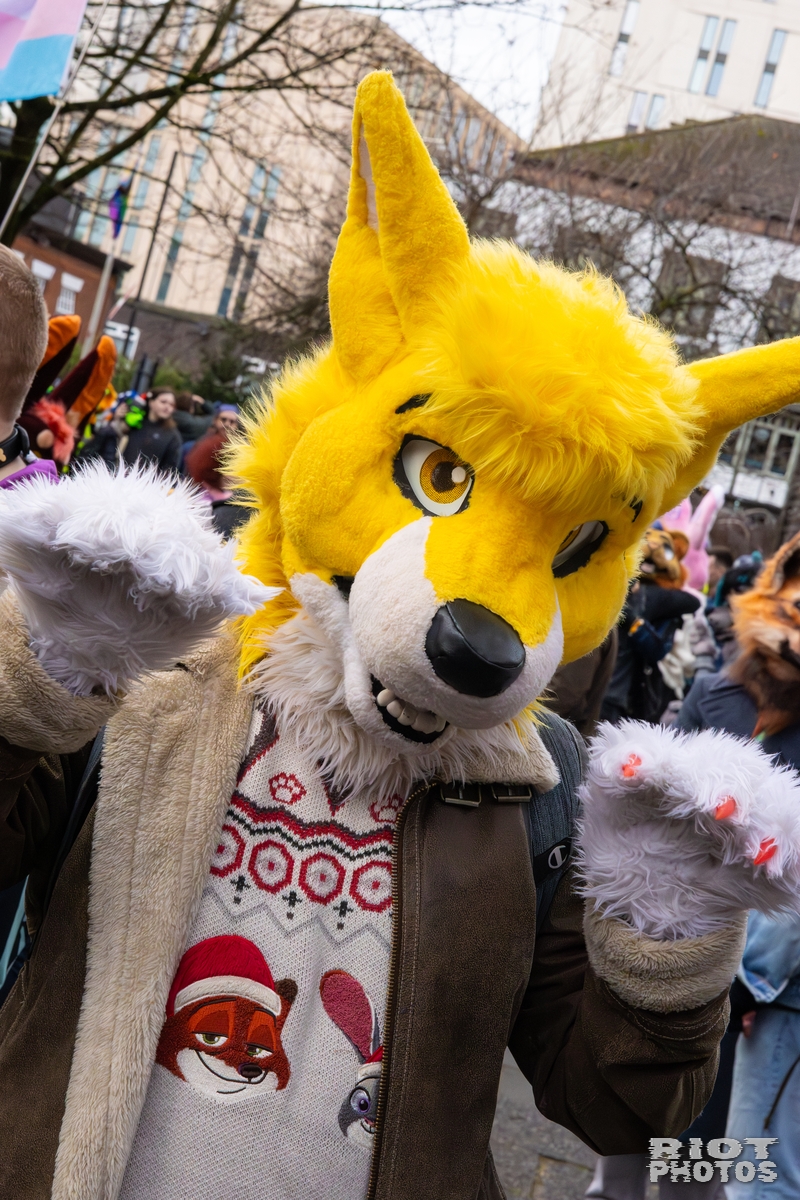 2025-12-13 MancFurs-202512-068.jpg
