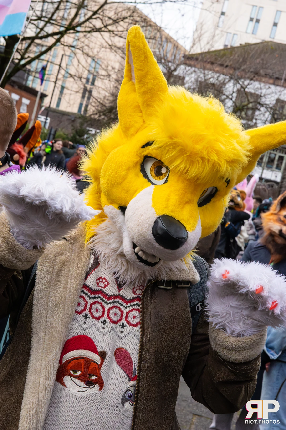 MancFurs - December, 2025 — 13 Dec 2025, Fluffy Riot photography — photo 68