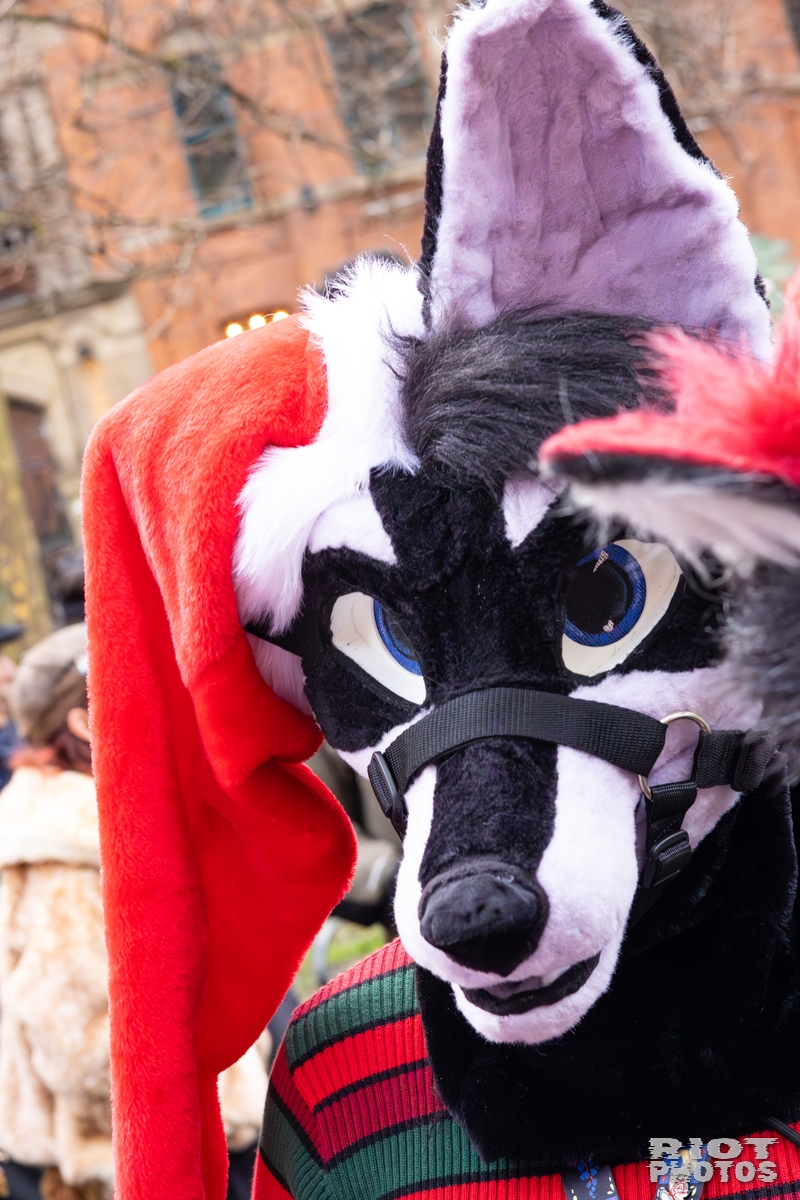 2025-12-13 MancFurs-202512-069.jpg