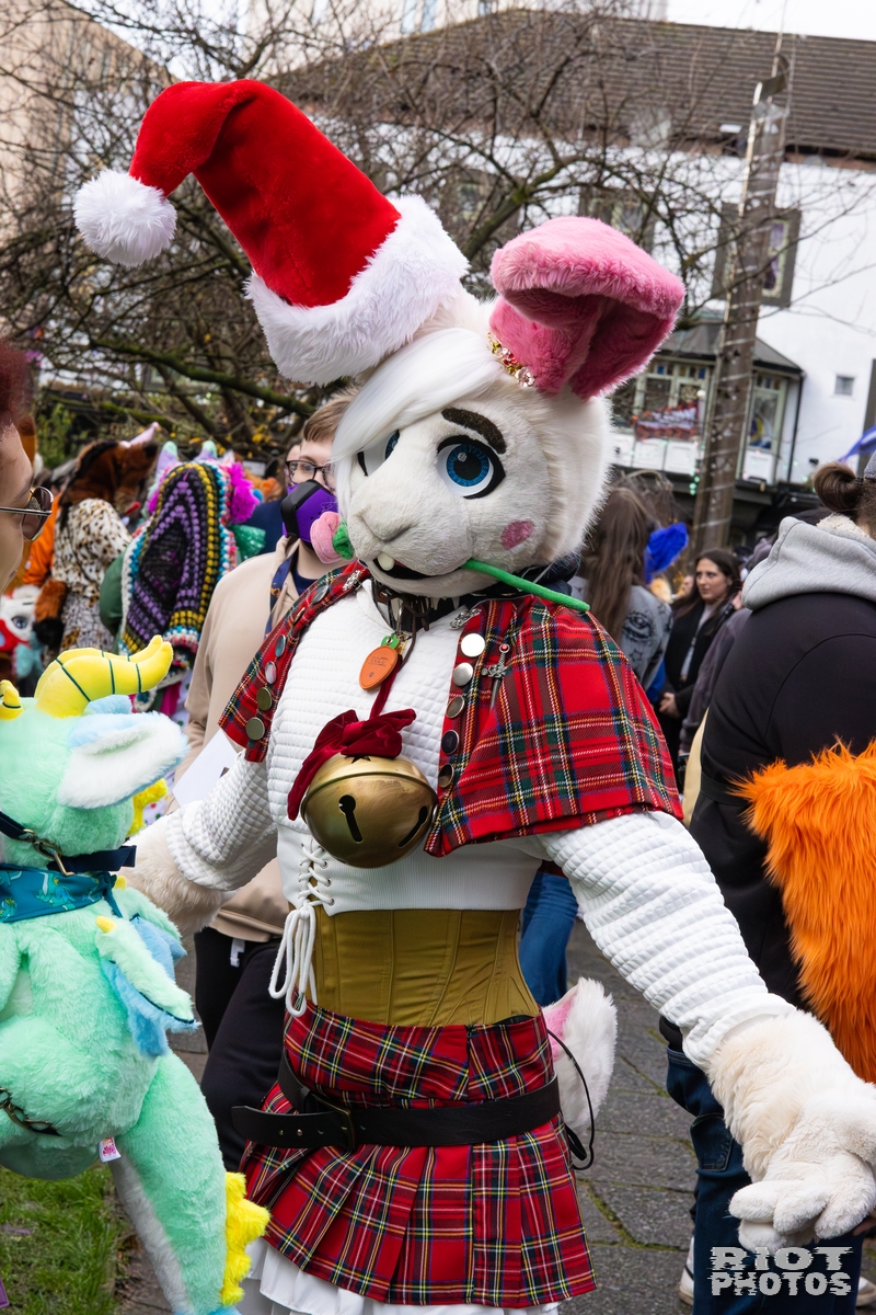 2025-12-13 MancFurs-202512-070.jpg