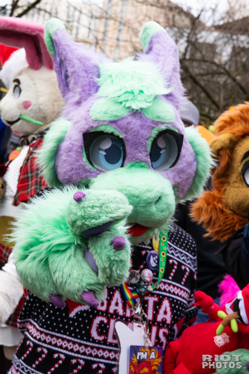 2025-12-13 MancFurs-202512-072.jpg