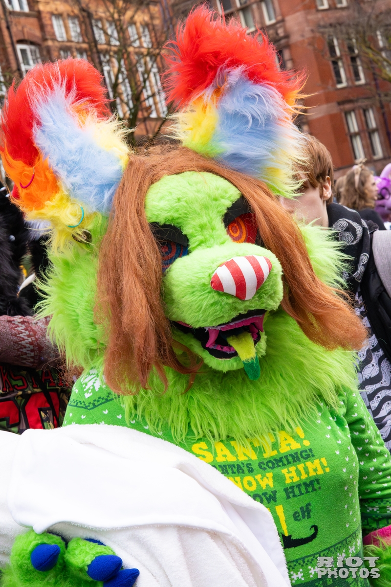 2025-12-13 MancFurs-202512-074.jpg