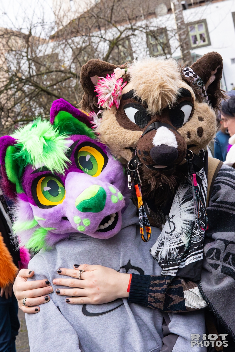 2025-12-13 MancFurs-202512-075.jpg