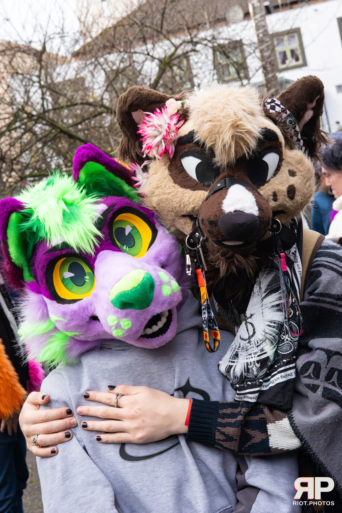 MancFurs - December, 2025 — 13 Dec 2025, Fluffy Riot photography — photo 75