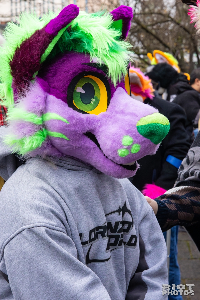 2025-12-13 MancFurs-202512-078.jpg