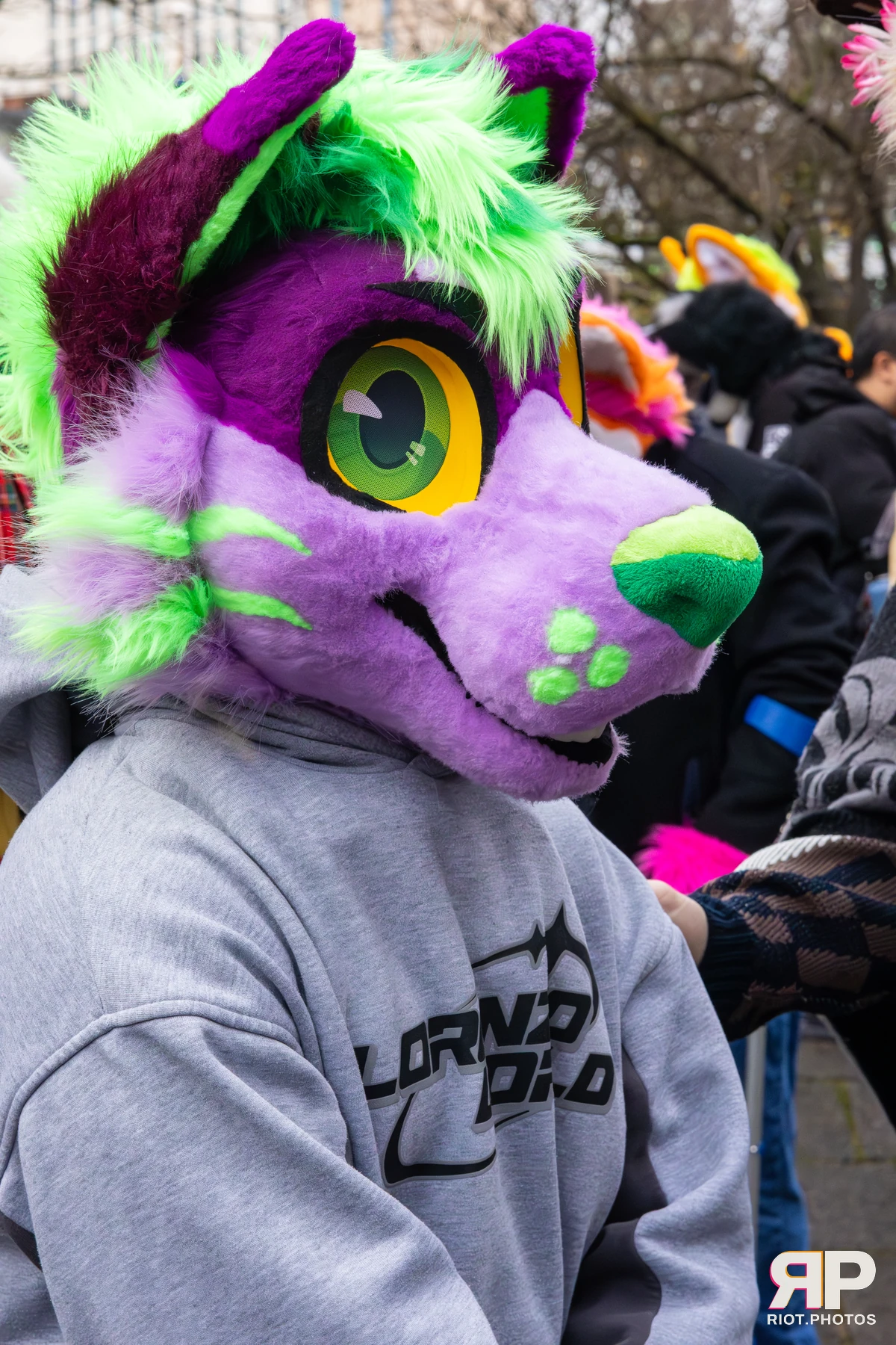 MancFurs - December, 2025 — 13 Dec 2025, Fluffy Riot photography — photo 78