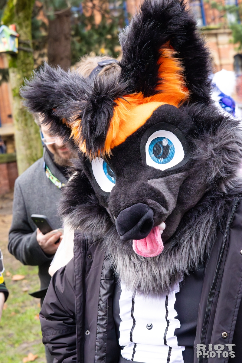 2025-12-13 MancFurs-202512-079.jpg