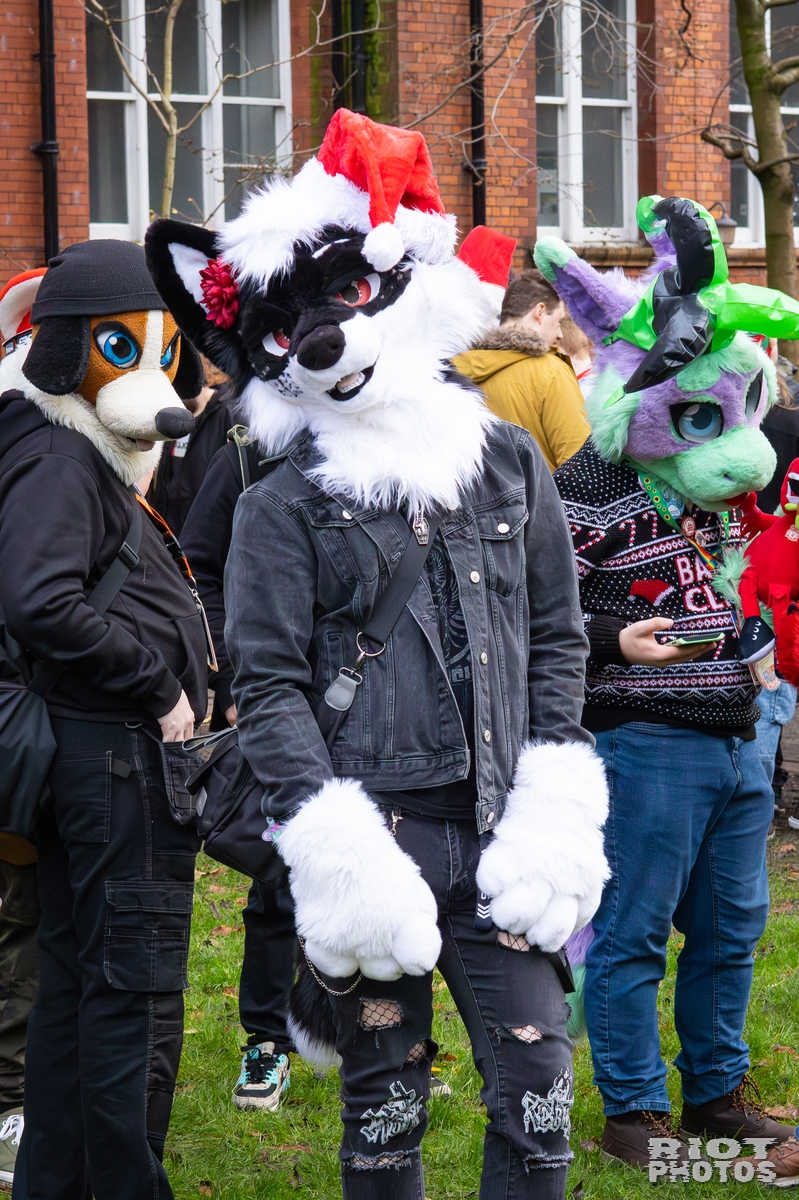 2025-12-13 MancFurs-202512-086.jpg