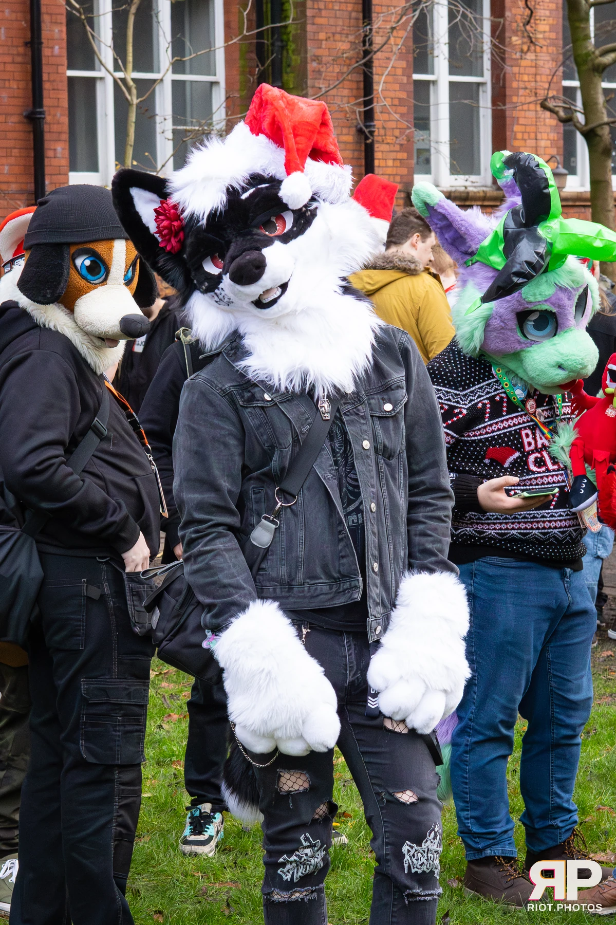 MancFurs - December, 2025 — 13 Dec 2025, Fluffy Riot photography — photo 86