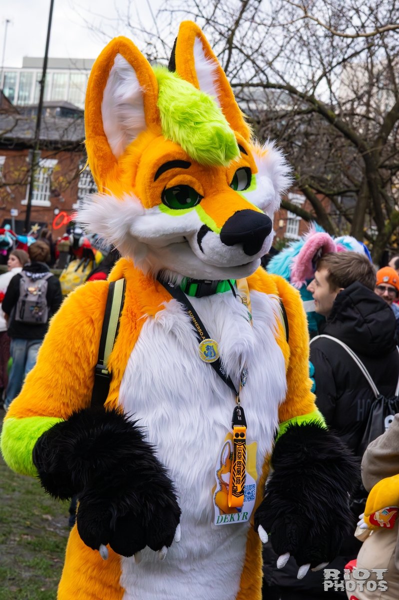 2025-12-13 MancFurs-202512-087.jpg