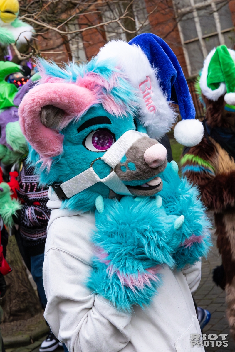 2025-12-13 MancFurs-202512-088.jpg