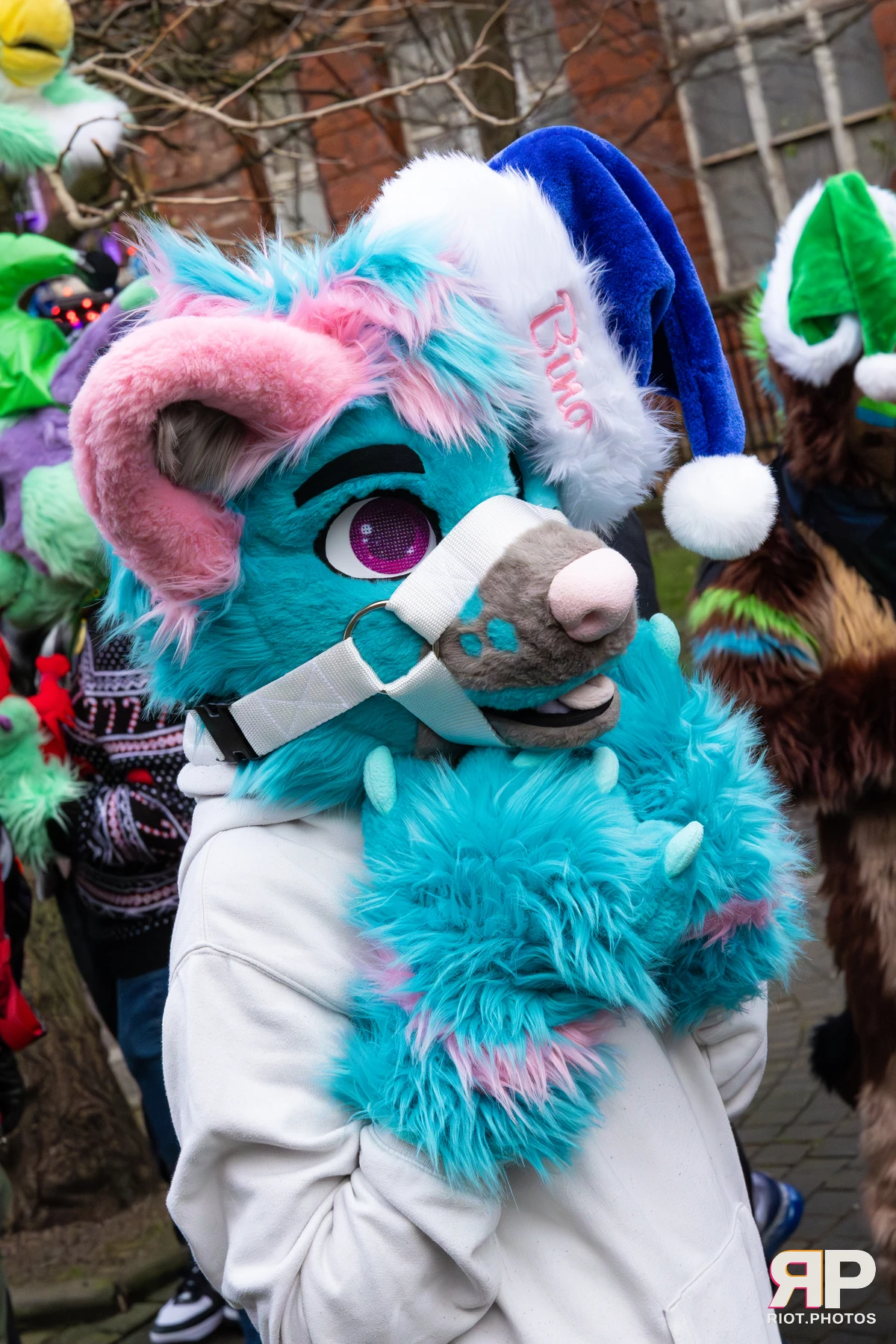 MancFurs - December, 2025 — 13 Dec 2025, Fluffy Riot photography — photo 88