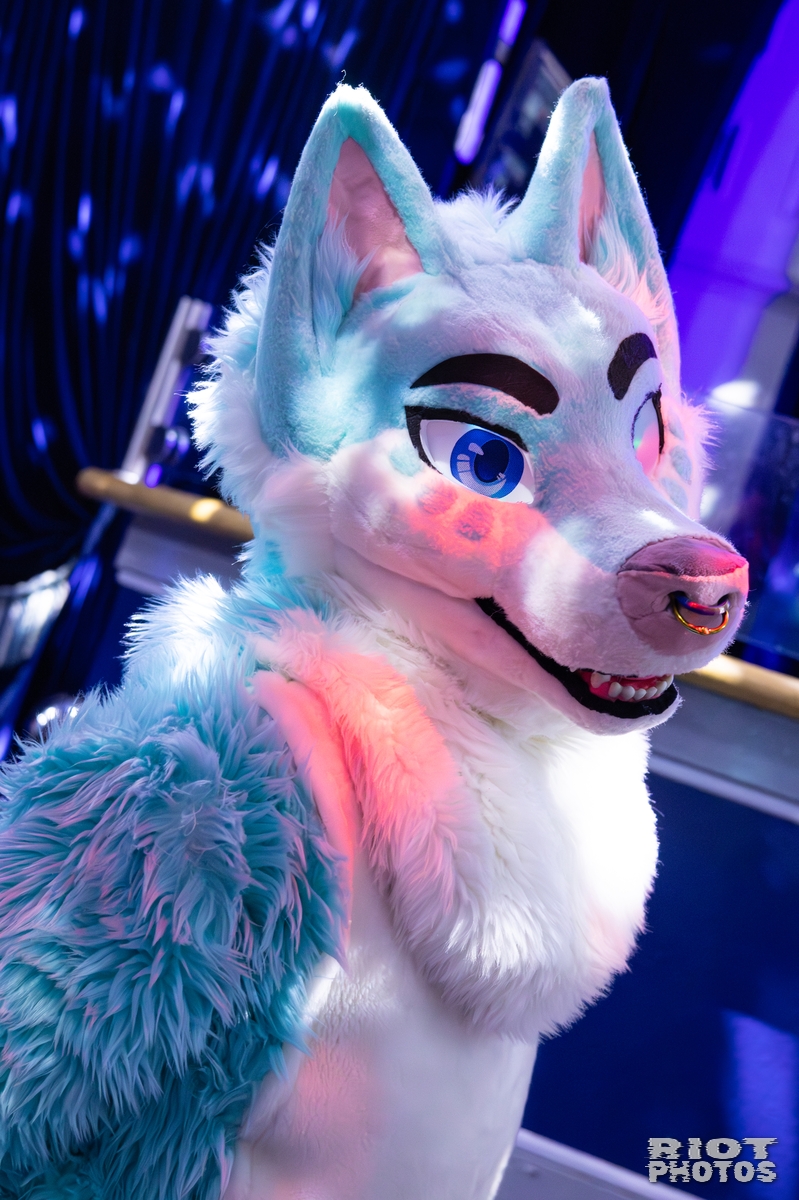 2025-12-13 MancFurs-202512-091.jpg