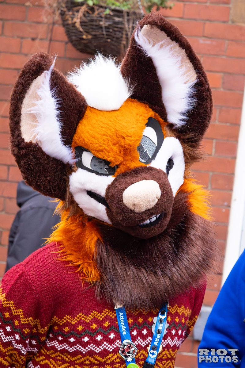 2025-12-13 MancFurs-202512-093.jpg