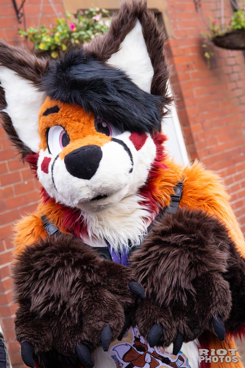 2025-12-13 MancFurs-202512-096.jpg