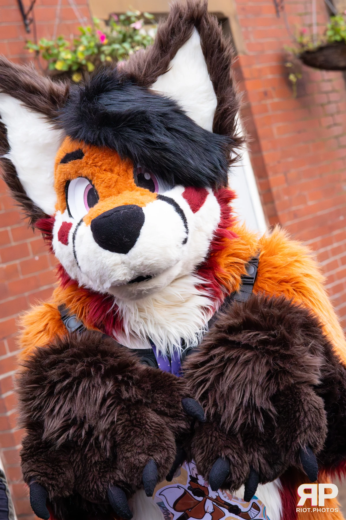 MancFurs - December, 2025 — 13 Dec 2025, Fluffy Riot photography — photo 96