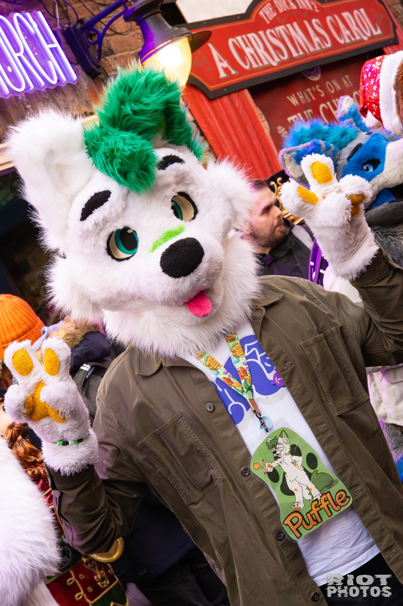 2025-12-13 MancFurs-202512-097.jpg