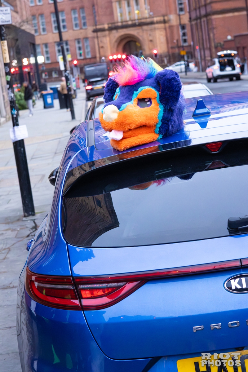 2025-12-13 MancFurs-202512-099.jpg