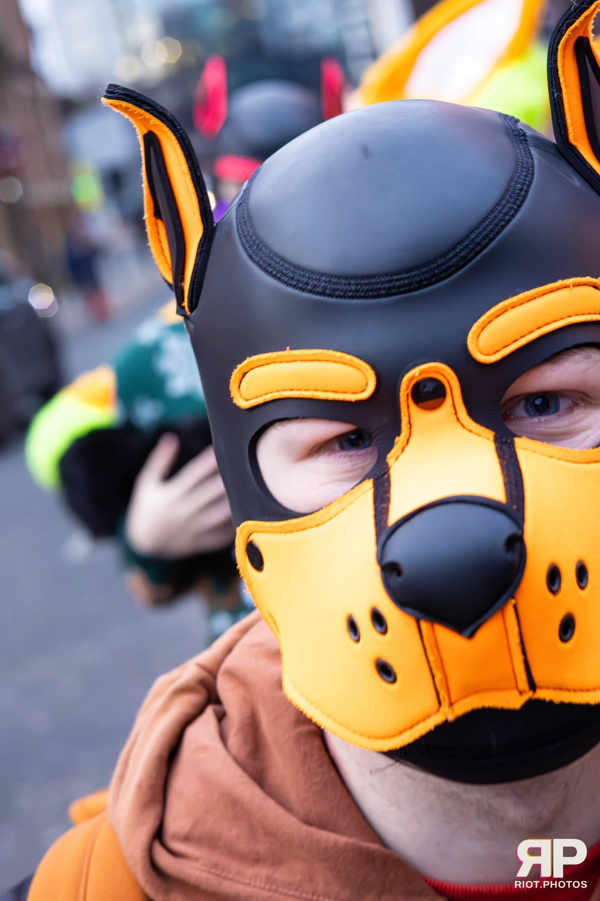 Pup Colossos — furry & pup photography by Fluffy Riot — photo 12
