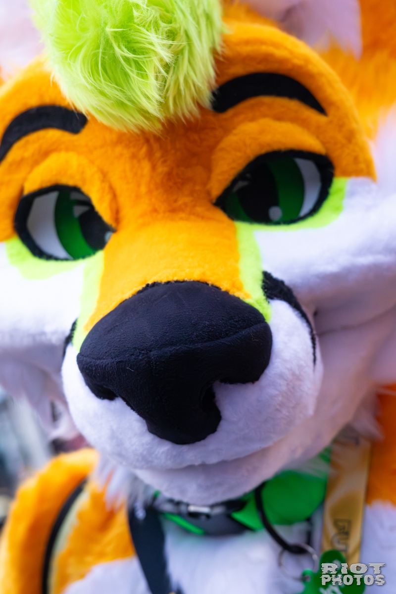2025-12-13 MancFurs-202512-104.jpg