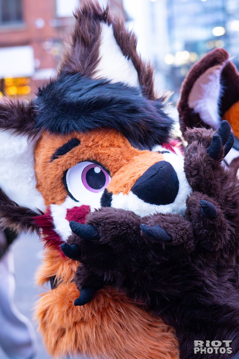 2025-12-13 MancFurs-202512-107.jpg