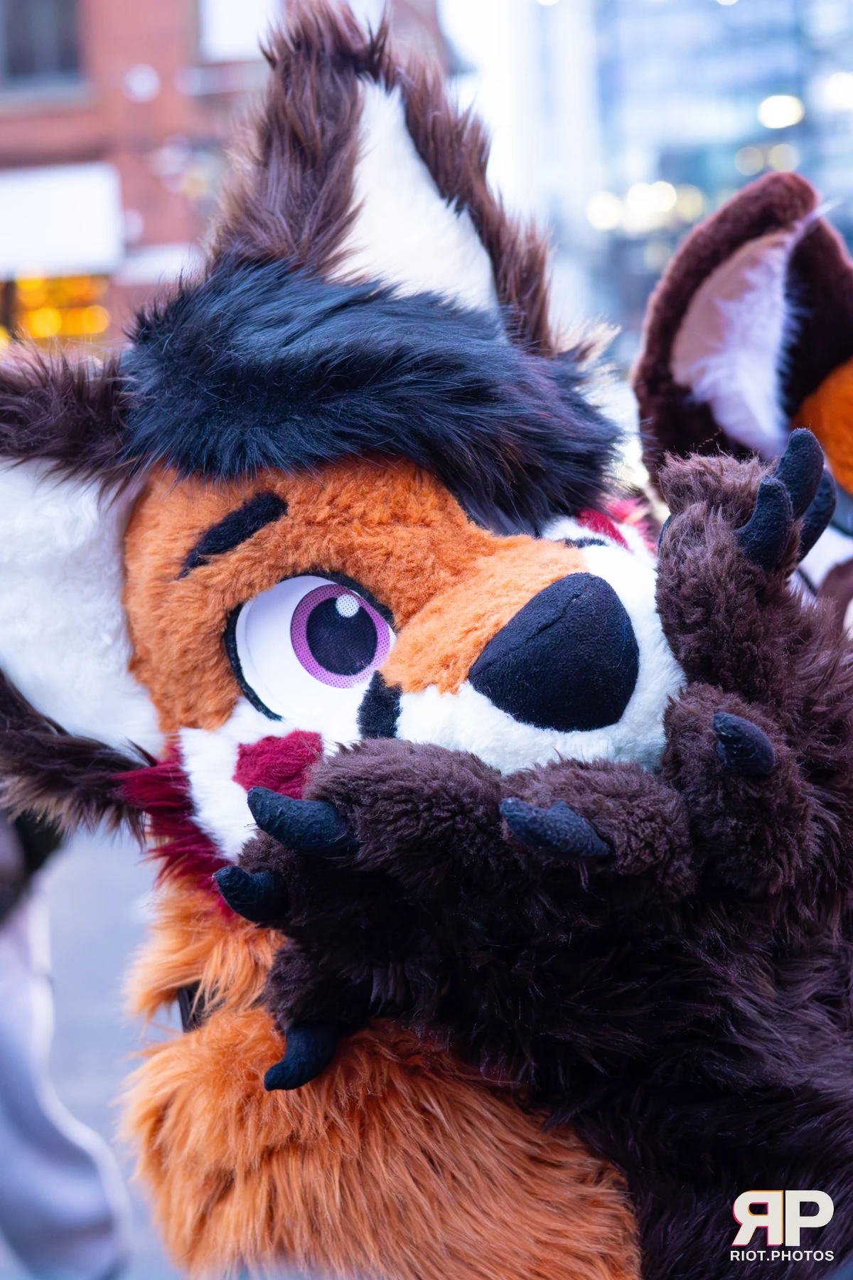 MancFurs - December, 2025 — 13 Dec 2025, Fluffy Riot photography — photo 107