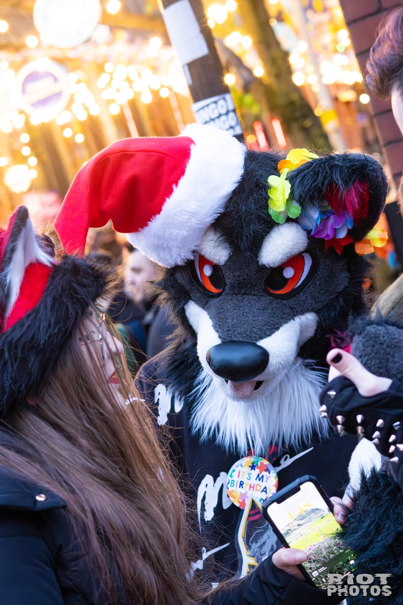 2025-12-13 MancFurs-202512-108.jpg