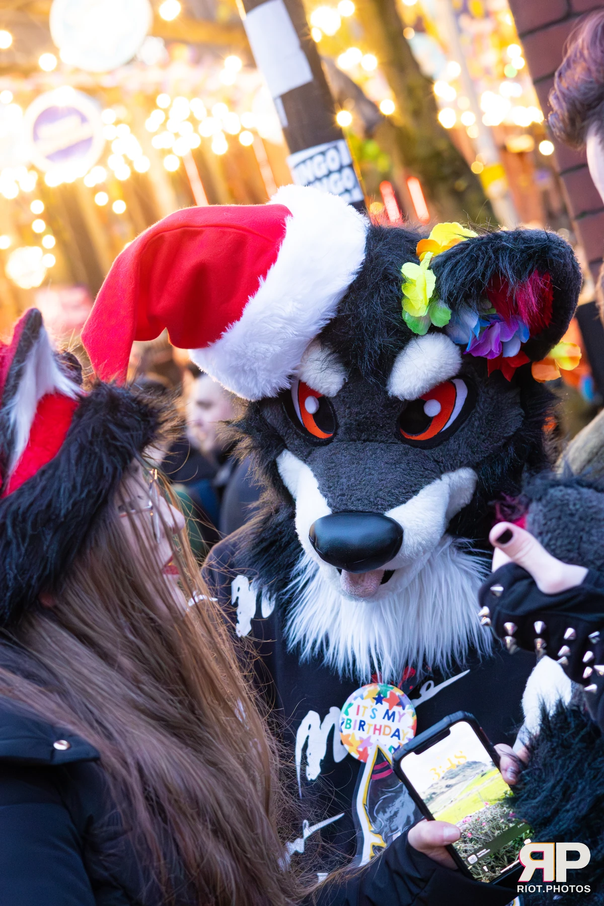 MancFurs - December, 2025 — 13 Dec 2025, Fluffy Riot photography — photo 108