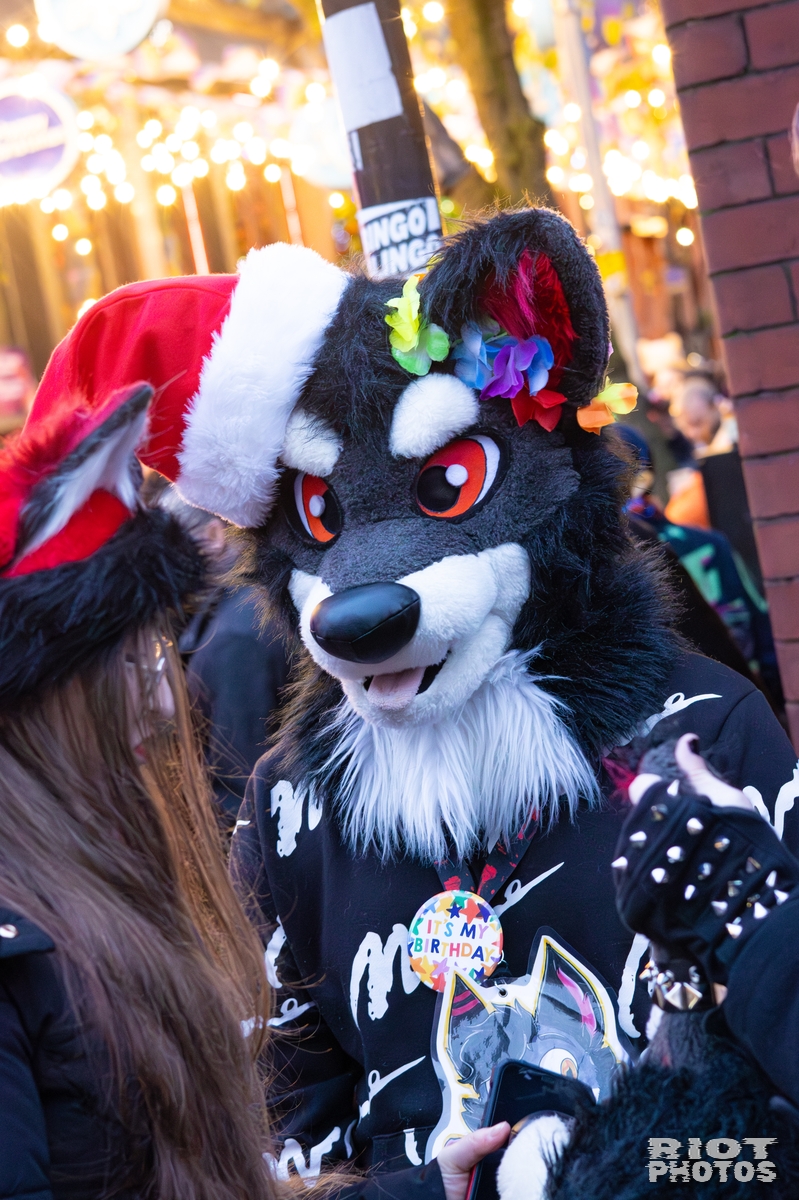 2025-12-13 MancFurs-202512-109.jpg