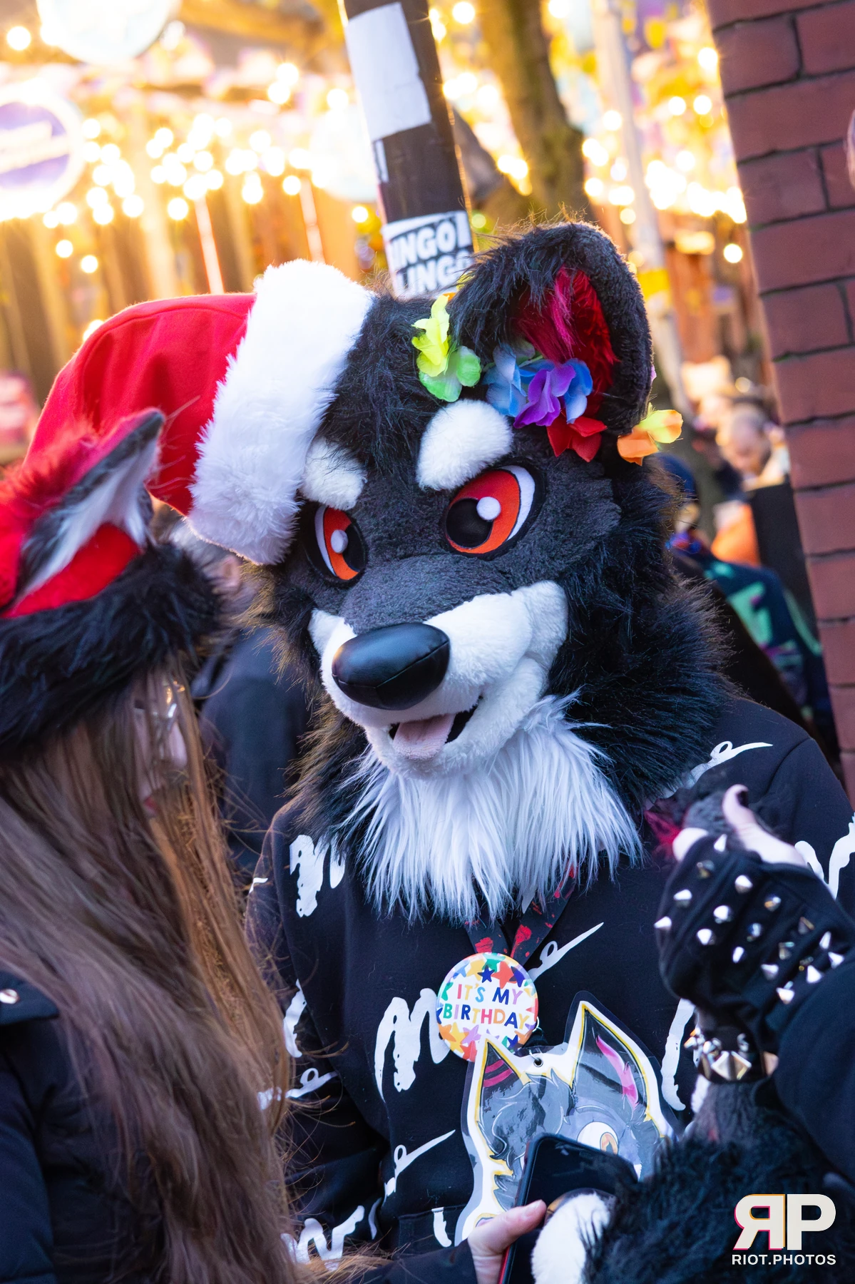 MancFurs - December, 2025 — 13 Dec 2025, Fluffy Riot photography — photo 109