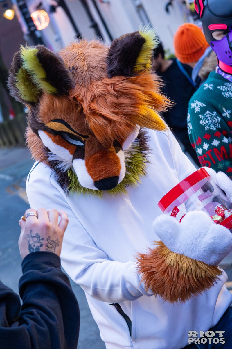 2025-12-13 MancFurs-202512-110.jpg