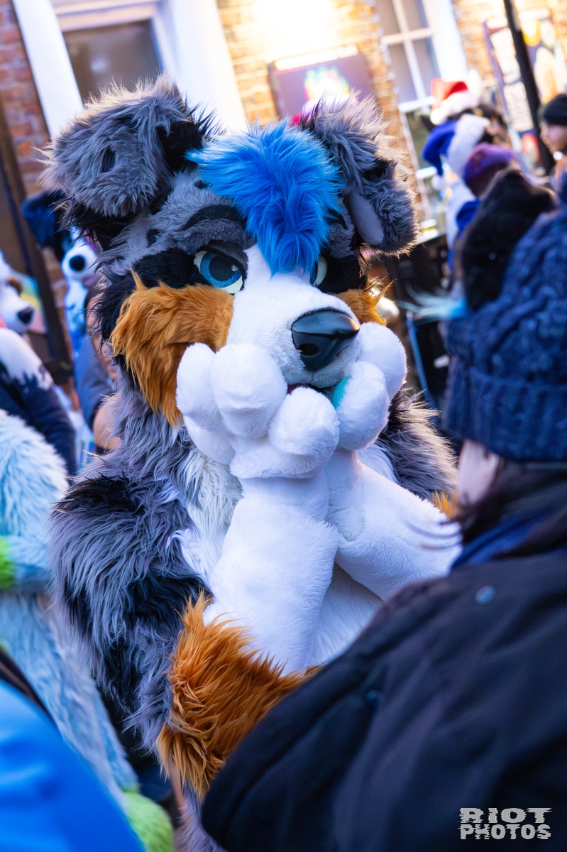 2025-12-13 MancFurs-202512-111.jpg