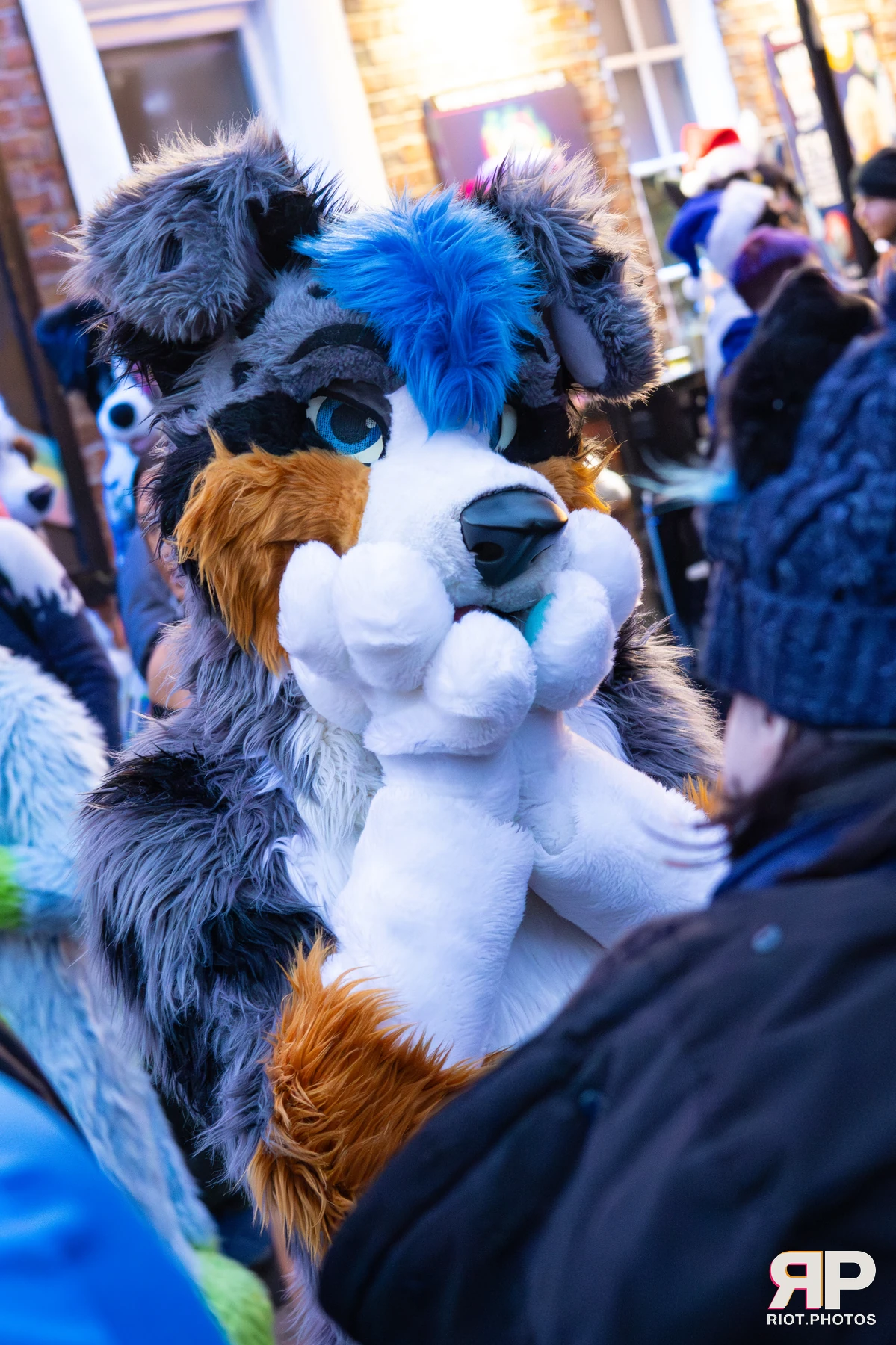 MancFurs - December, 2025 — 13 Dec 2025, Fluffy Riot photography — photo 111