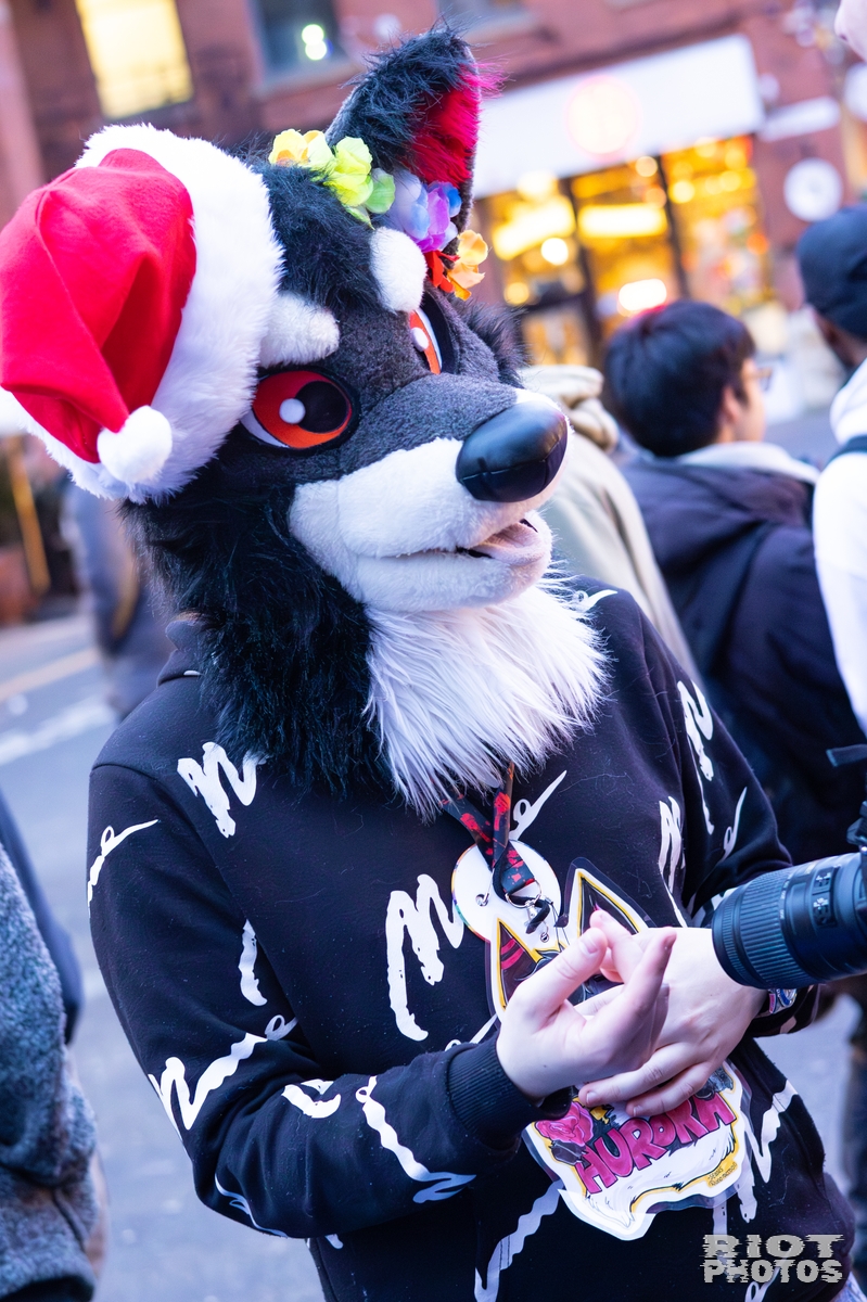 2025-12-13 MancFurs-202512-112.jpg