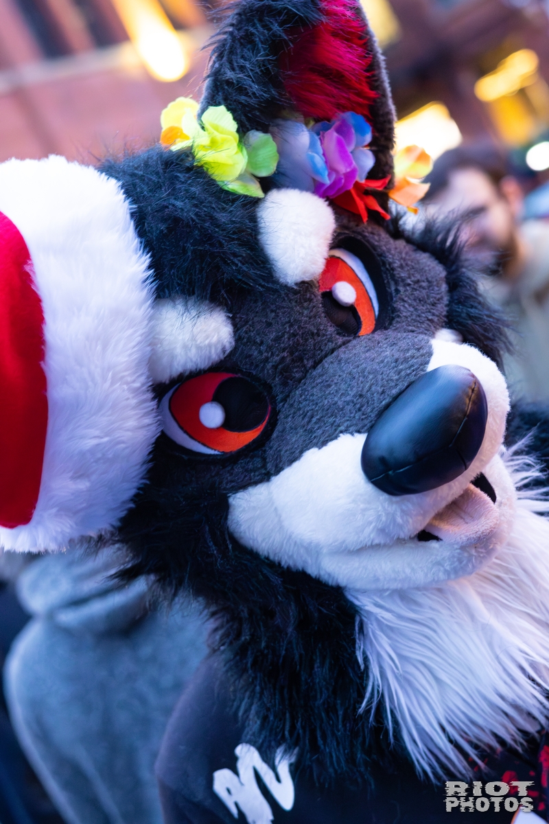 2025-12-13 MancFurs-202512-113.jpg