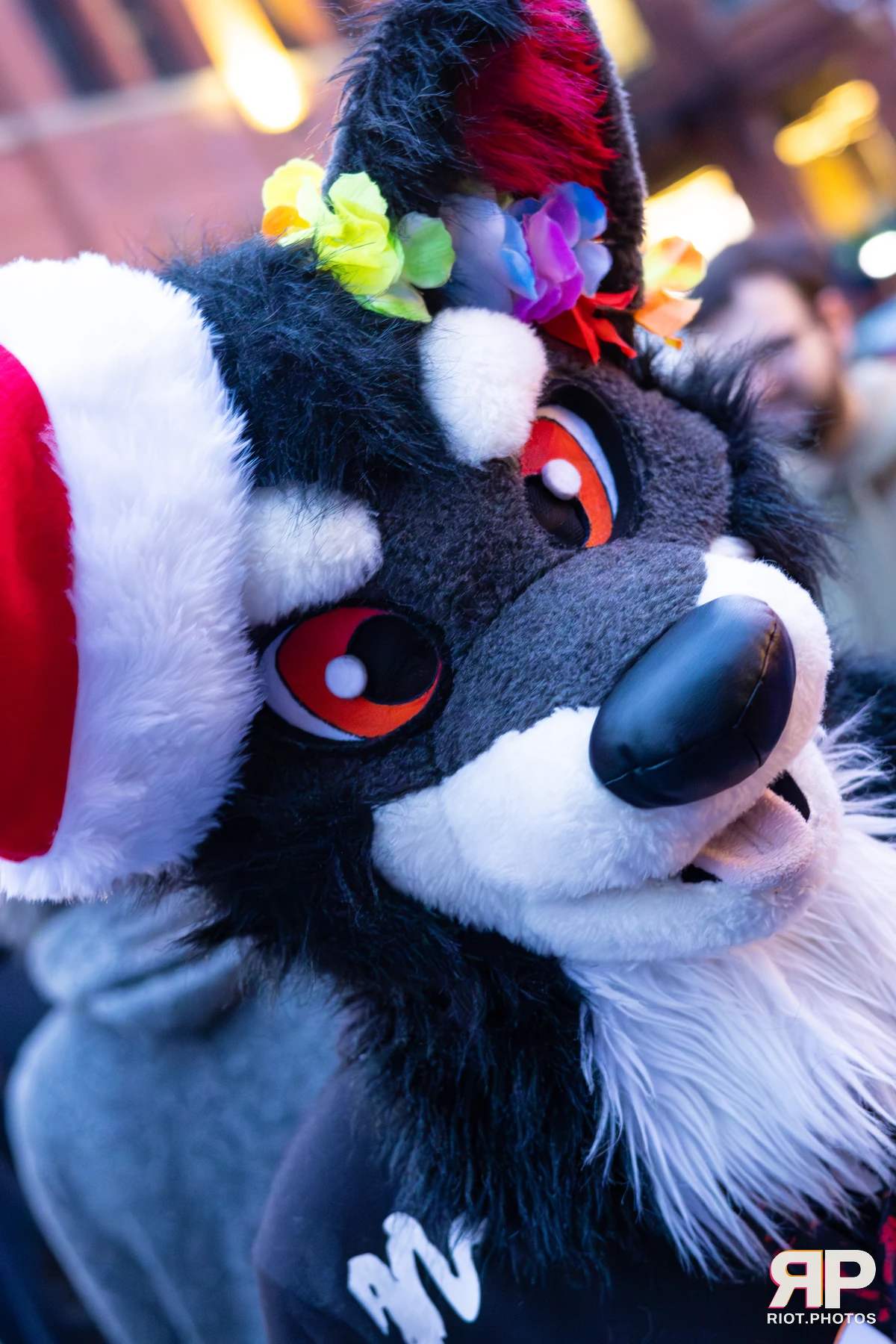 MancFurs - December, 2025 — 13 Dec 2025, Fluffy Riot photography — photo 113