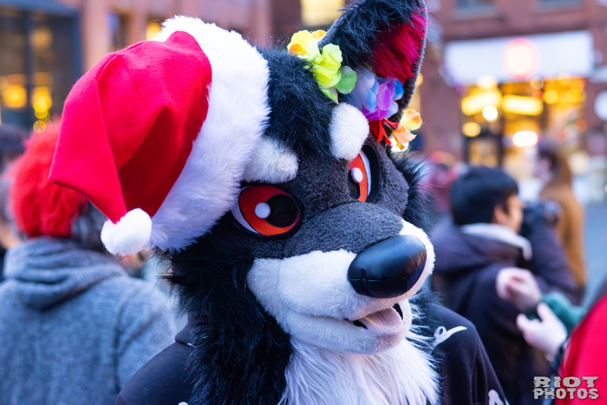 2025-12-13 MancFurs-202512-114.jpg