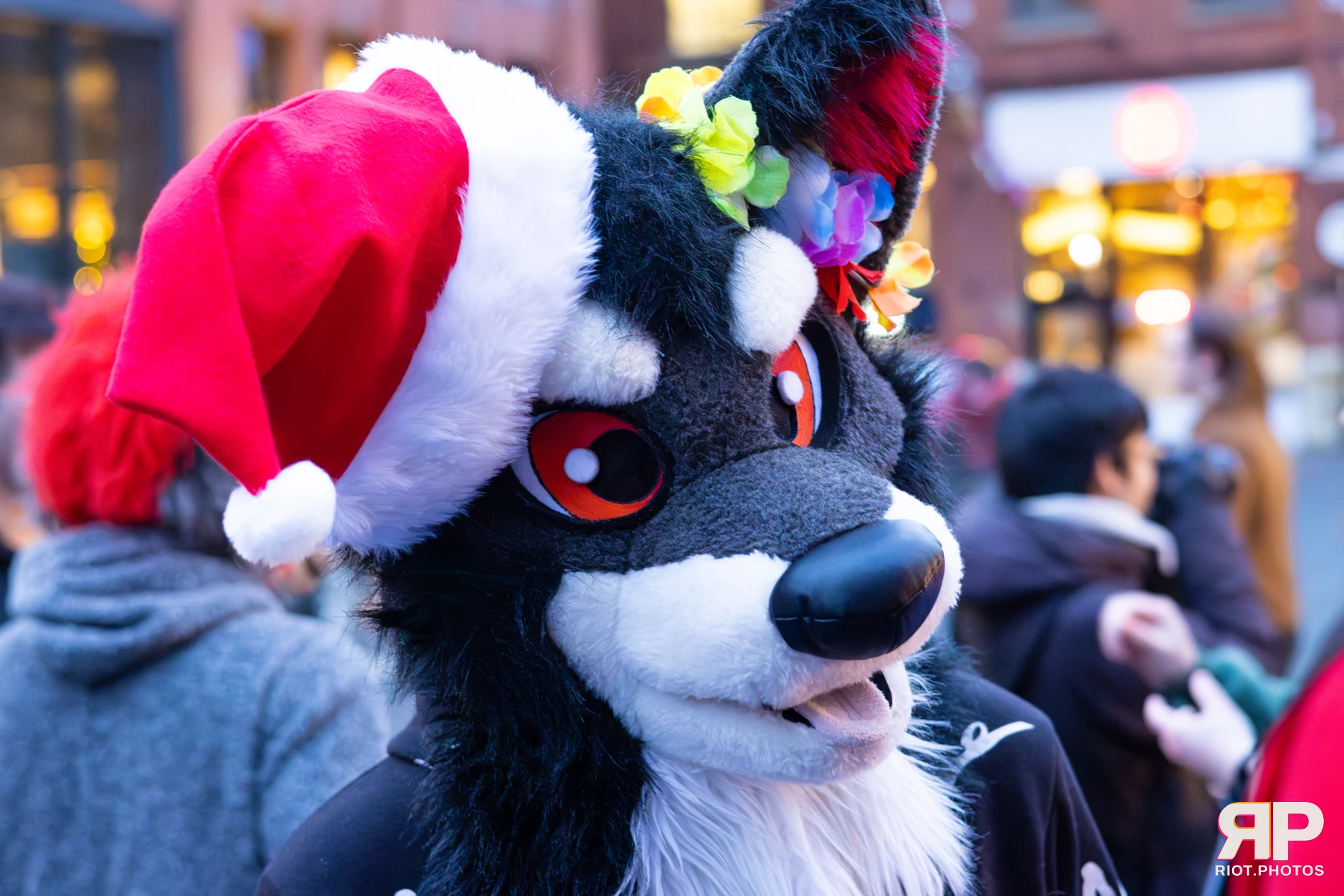 MancFurs - December, 2025 — 13 Dec 2025, Fluffy Riot photography — photo 114