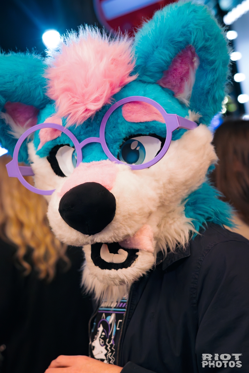2025-12-13 MancFurs-202512-115.jpg