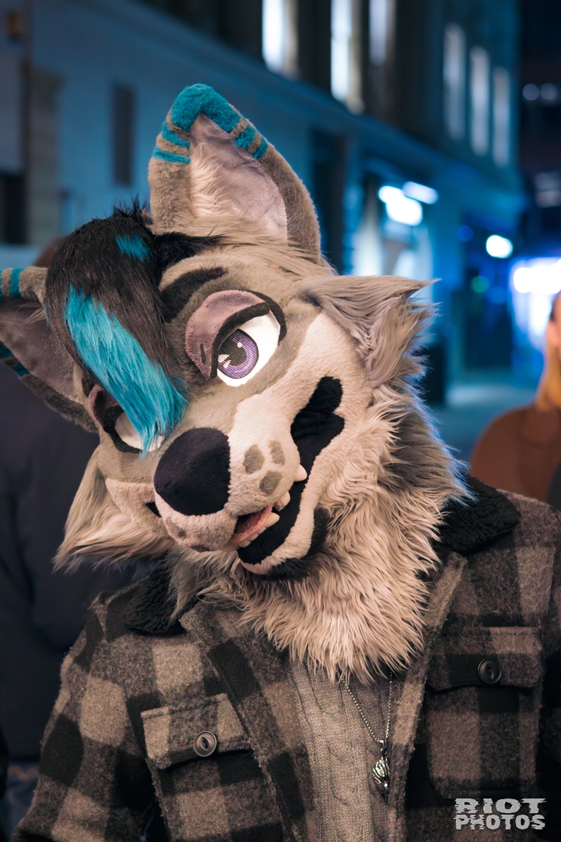 2025-12-13 MancFurs-202512-116.jpg