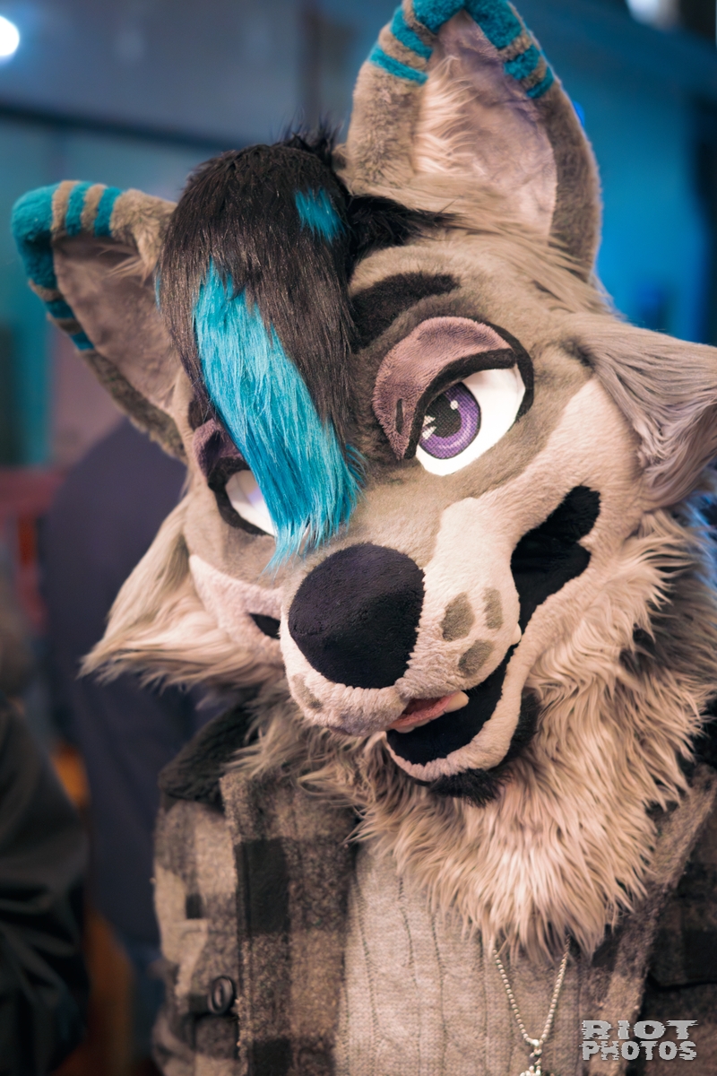 2025-12-13 MancFurs-202512-117.jpg