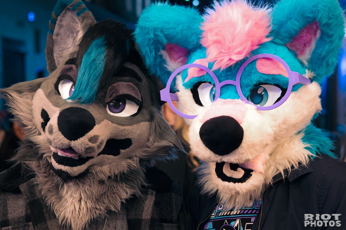 2025-12-13 MancFurs-202512-118.jpg
