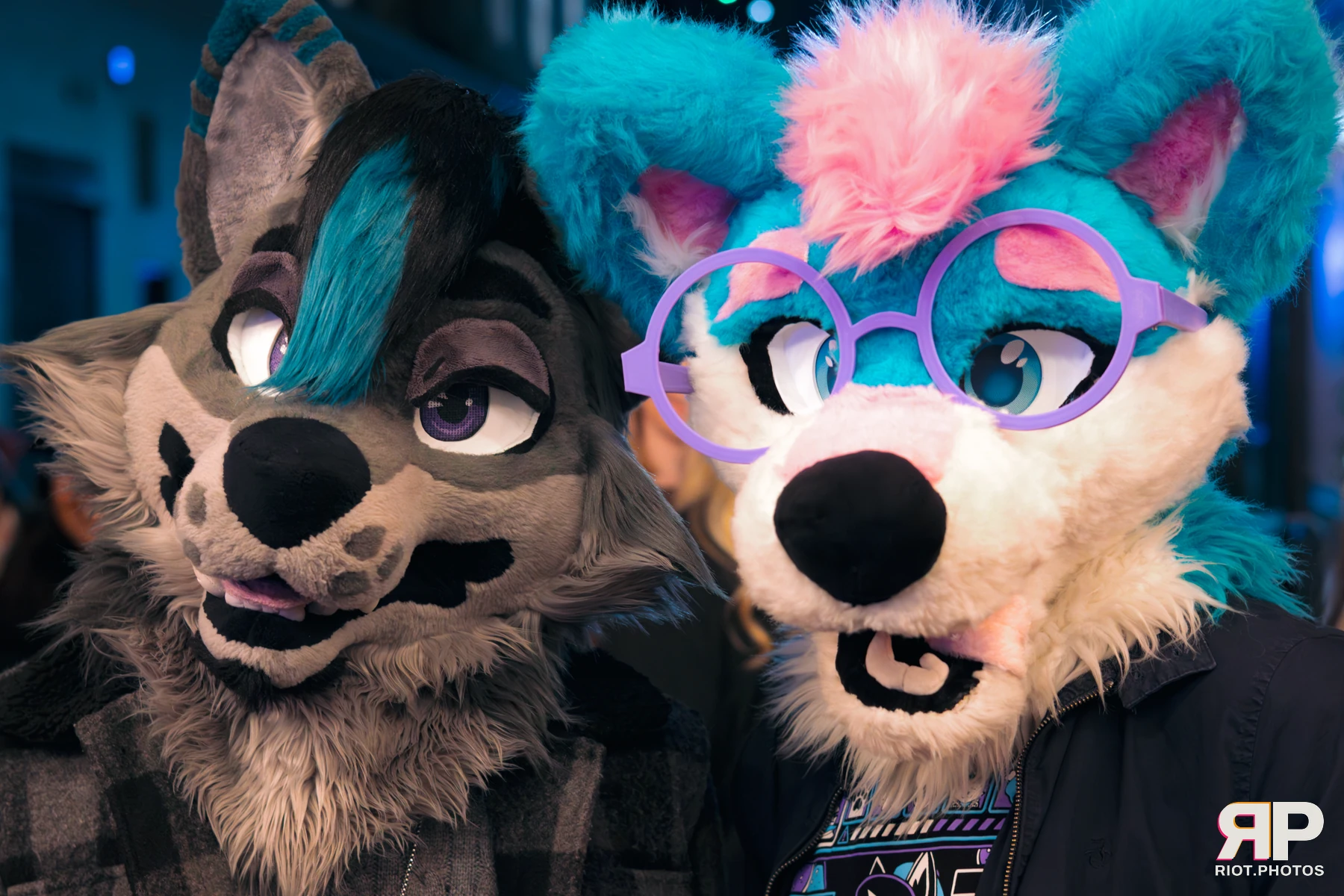 Pup Kaz — furry & pup photography by Fluffy Riot — photo 223