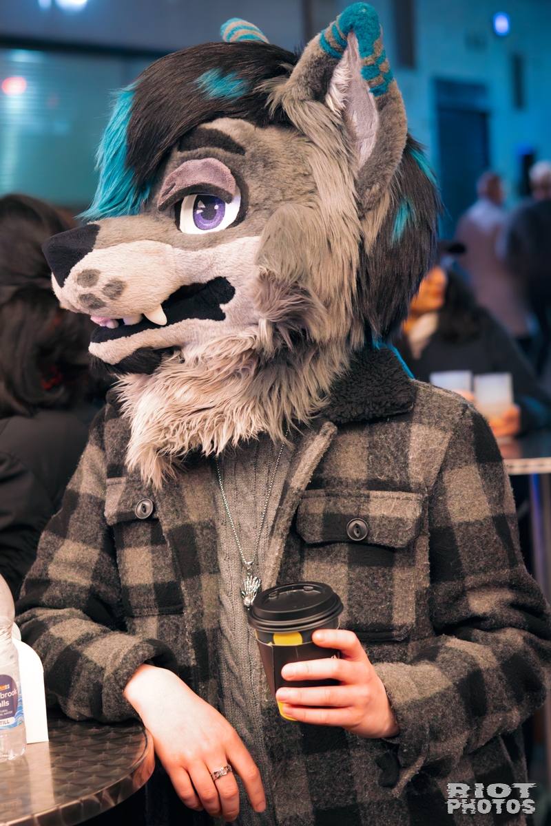 2025-12-13 MancFurs-202512-119.jpg