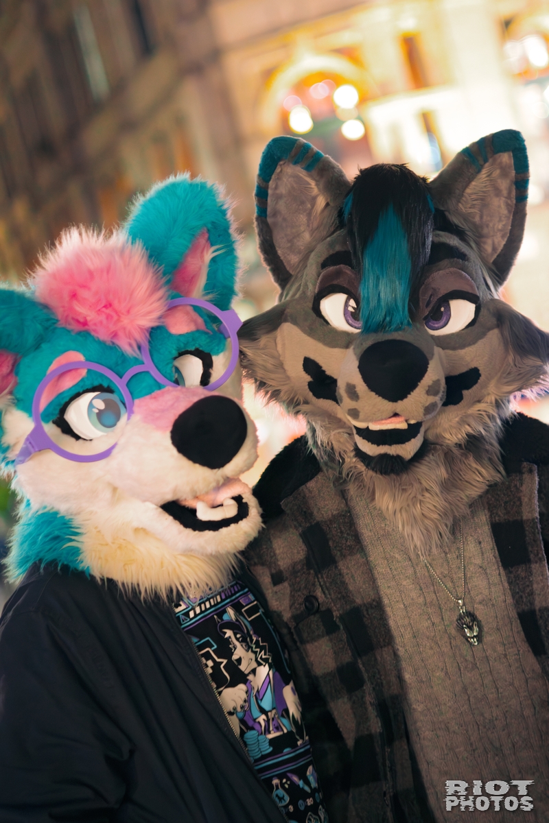 2025-12-13 MancFurs-202512-123.jpg