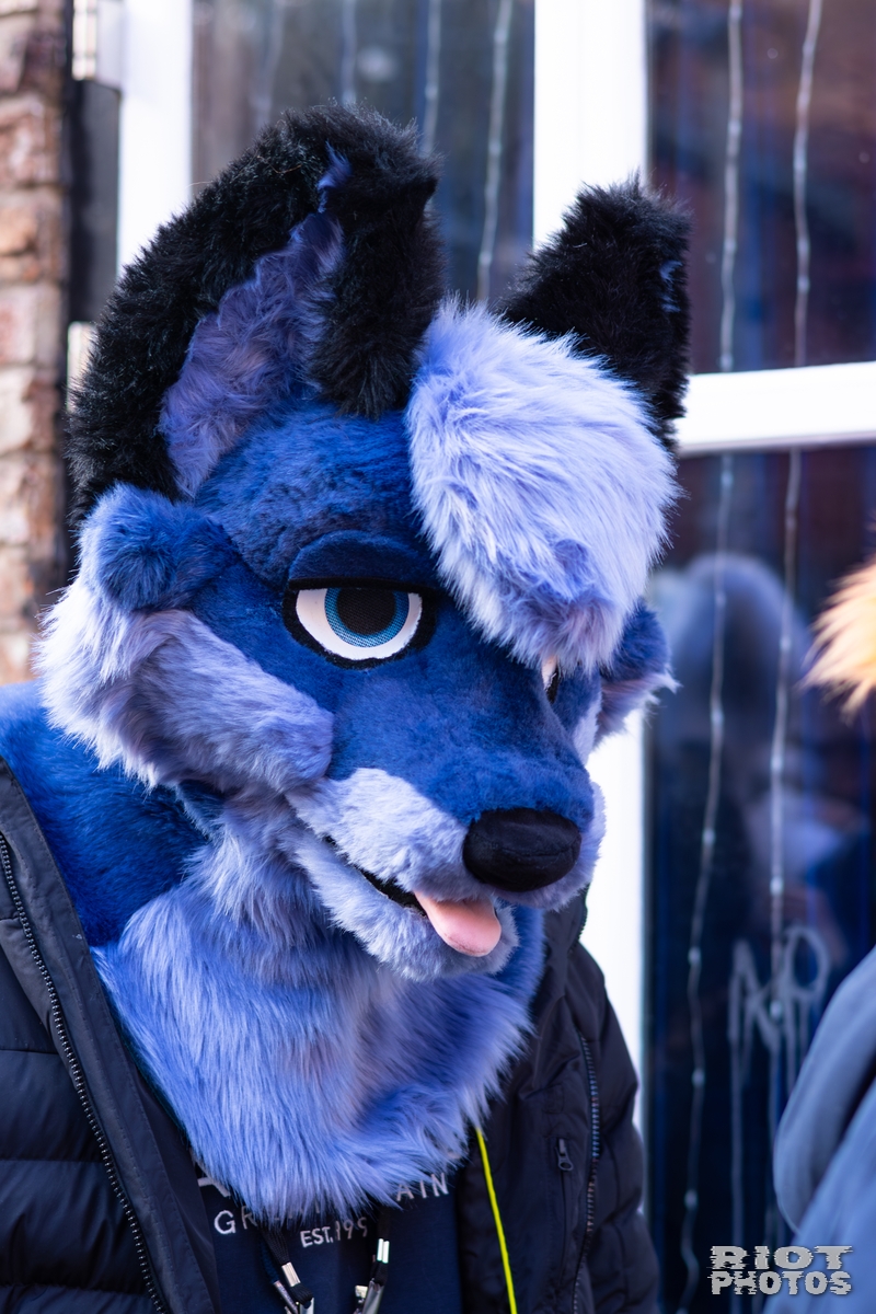 2026-01-10 MancFurs-202601-001.jpg