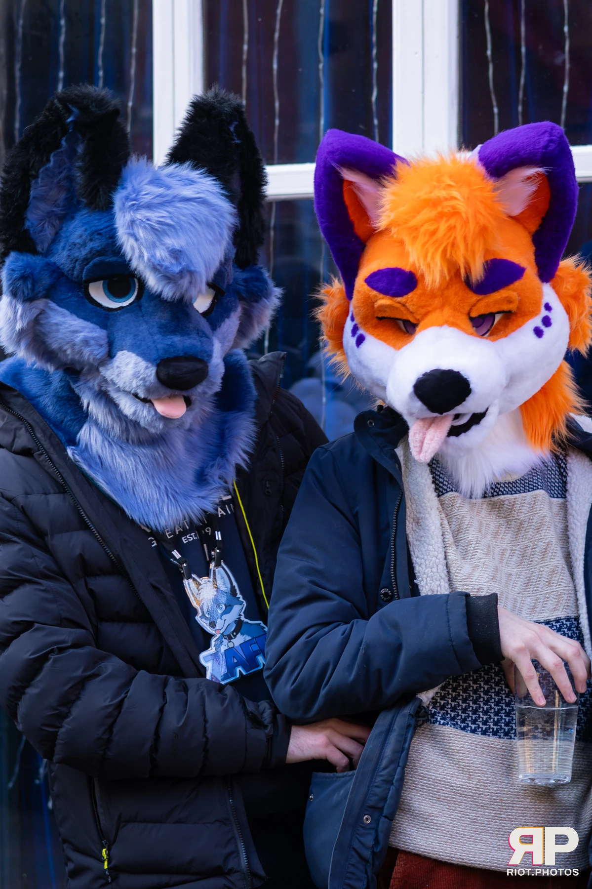 MancFurs - January, 2026 — 10 Jan 2026, Fluffy Riot photography — photo 2